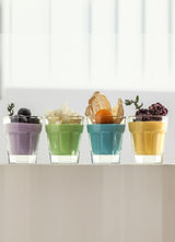 LAV Aras 6-Piece Shot Glasses, 1.5 oz